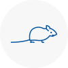 Mice Exterminators In Widnes